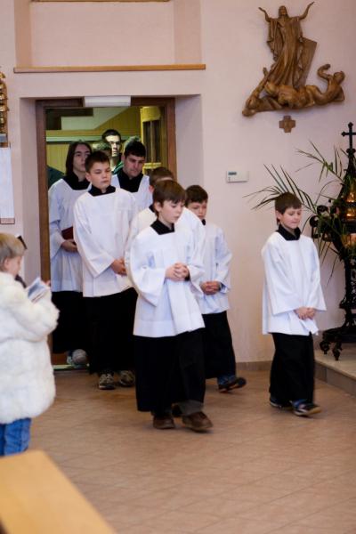 IMG_7135 IMG_7135